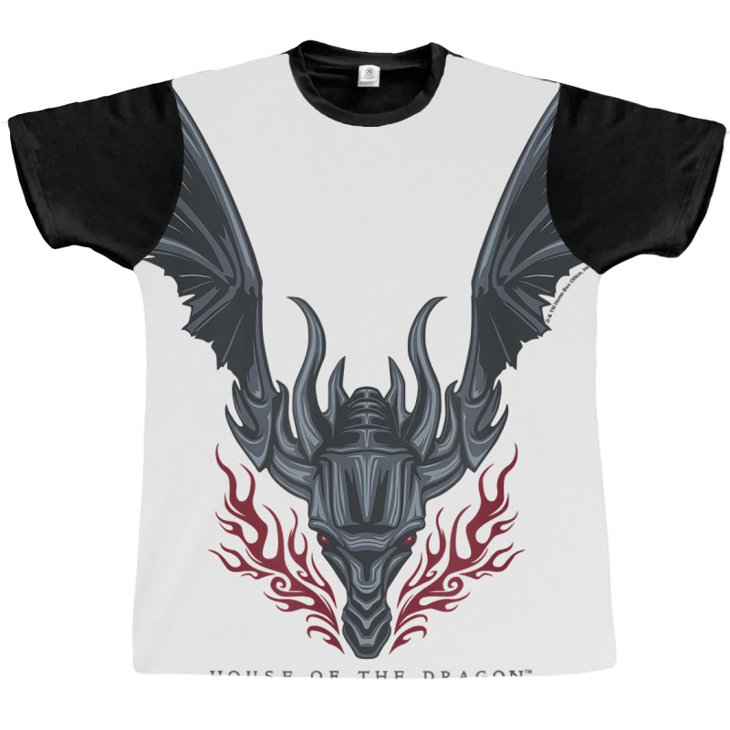 House Of The Dragon Flames In Flight T Shirt Graphic T-shirt | Artistshot