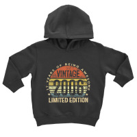 Vintage 2006 Limited Edition 17 Year Old Gifts 17t Toddler Hoodie | Artistshot