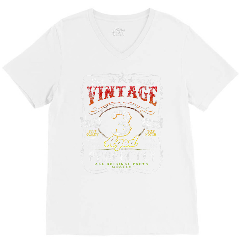 Vintage 2020 Limited Edition 3 Year Old 3rd Birthd V-Neck Tee by catricegar | Artistshot