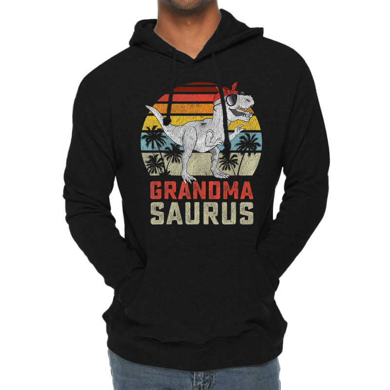 Grandmasaurus T Rex Dinosaur Grandma Saurus Family Lightweight Hoodie | Artistshot