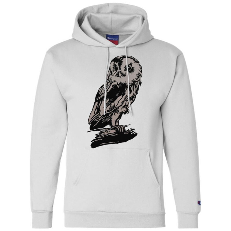 Dark Owl Champion Hoodie by didwaycarw | Artistshot