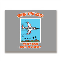 Bird Migration Service Airline Funny Animal Novelt Metal Print Horizontal | Artistshot