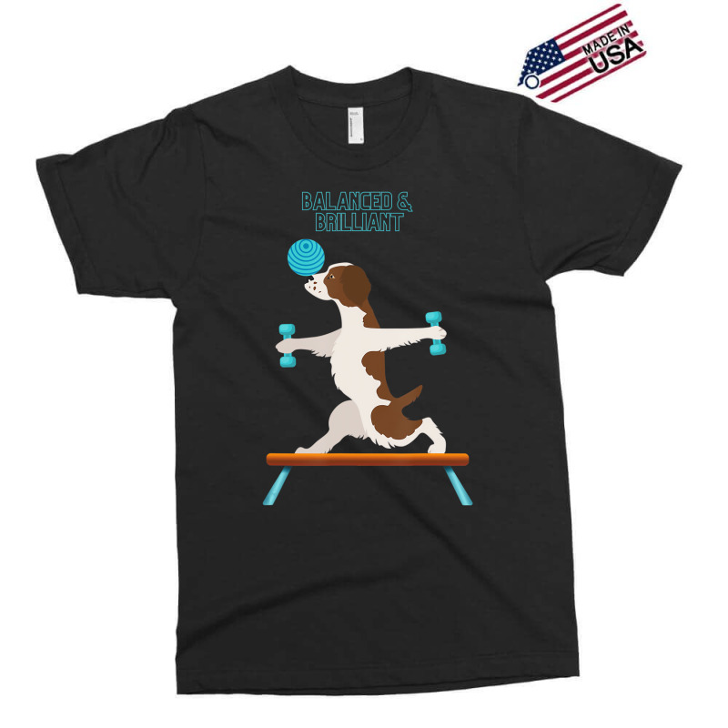 Brittany Dog Funny Fun Gym Workout Balanced & Bril Exclusive T-shirt | Artistshot