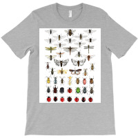 Entomology Illustrations Green T-shirt | Artistshot