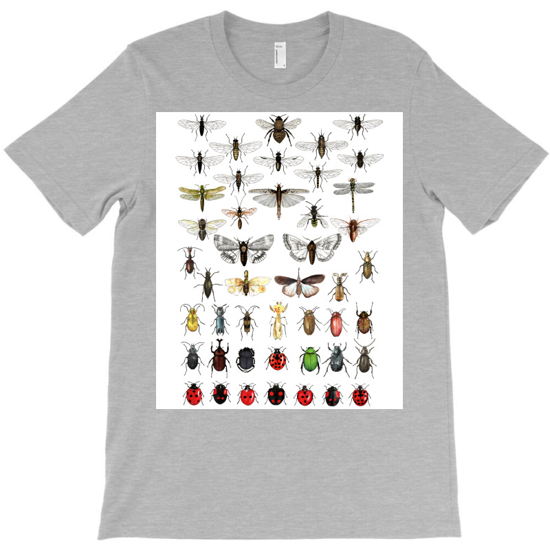 Entomology Illustrations Green T-shirt | Artistshot