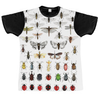 Entomology Illustrations Green Graphic T-shirt | Artistshot