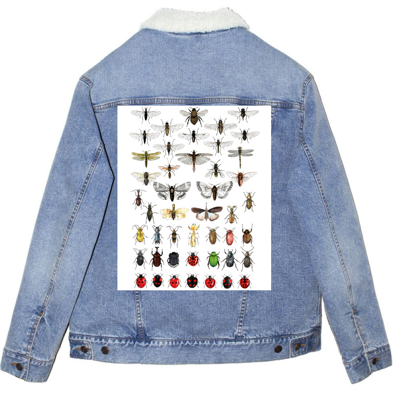 Entomology Illustrations Green Unisex Sherpa-lined Denim Jacket | Artistshot