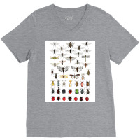 Entomology Illustrations Green V-neck Tee | Artistshot