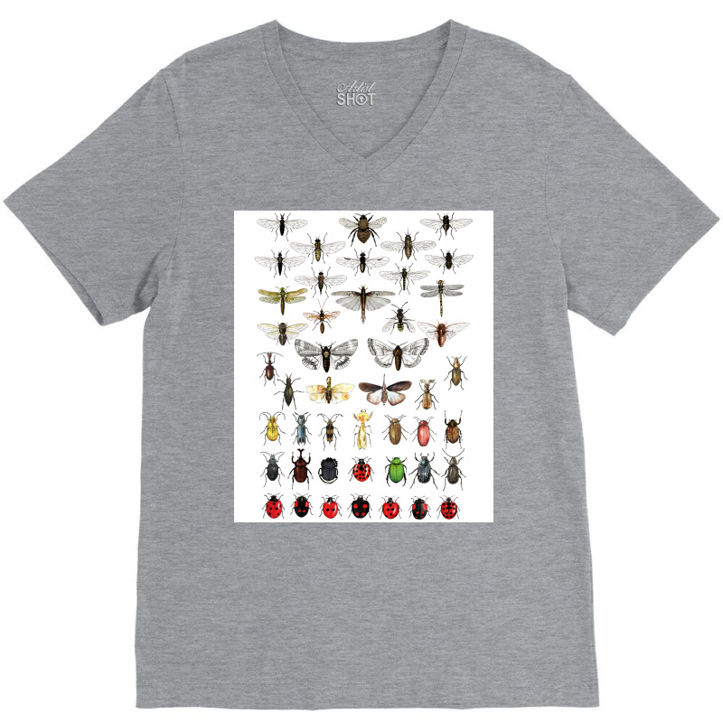 Entomology Illustrations Green V-neck Tee | Artistshot