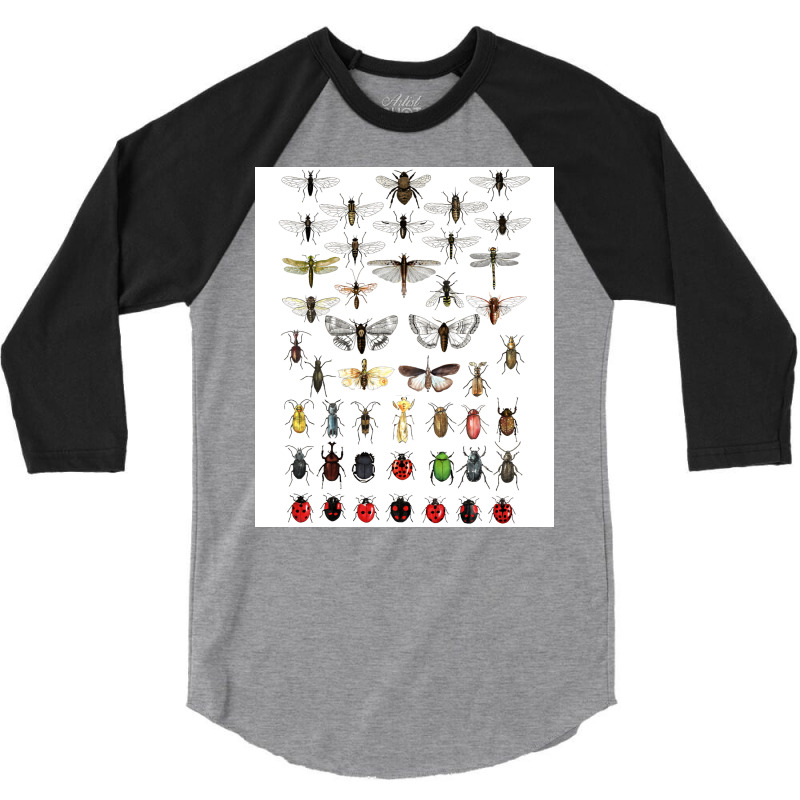 Entomology Illustrations Green 3/4 Sleeve Shirt | Artistshot