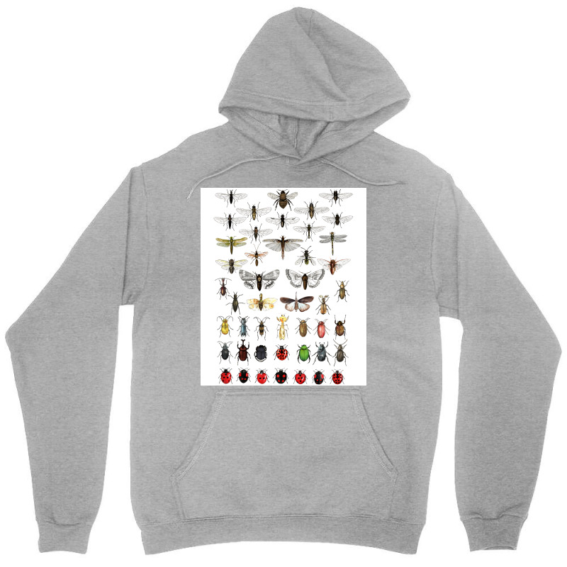 Entomology Illustrations Green Unisex Hoodie | Artistshot