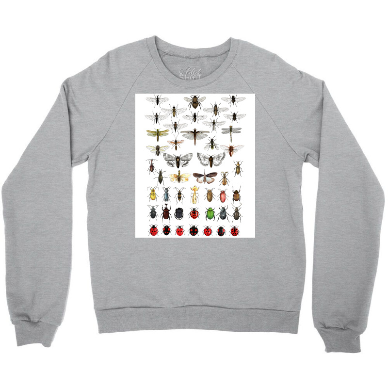 Entomology Illustrations Green Crewneck Sweatshirt | Artistshot