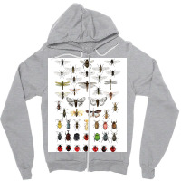 Entomology Illustrations Green Zipper Hoodie | Artistshot