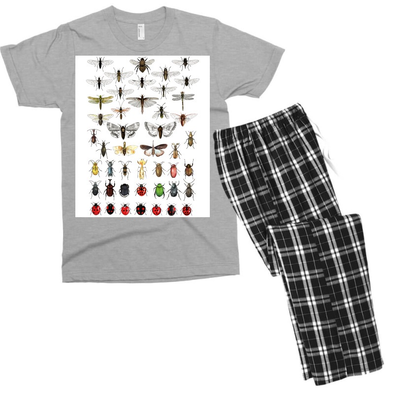 Entomology Illustrations Green Men's T-shirt Pajama Set | Artistshot