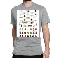 Entomology Illustrations Green Classic T-shirt | Artistshot