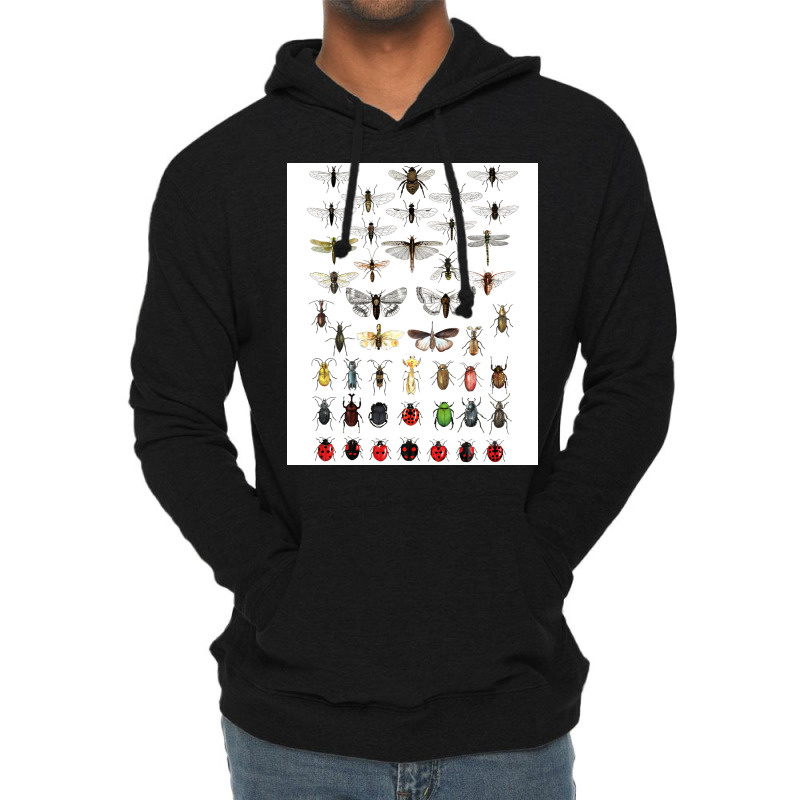 Entomology Illustrations Green Lightweight Hoodie | Artistshot