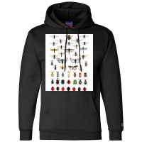 Entomology Illustrations Green Champion Hoodie | Artistshot