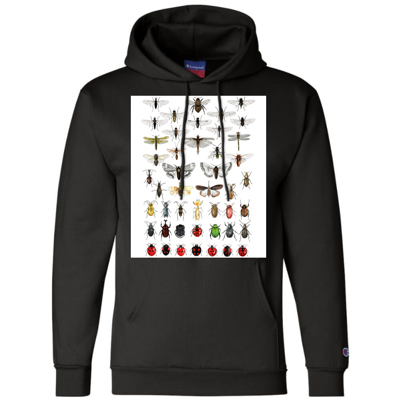 Entomology Illustrations Green Champion Hoodie | Artistshot