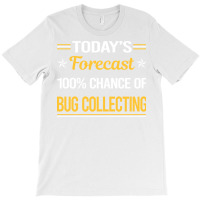 Today Forecast Bug Collecting Insect Insects Bugs T-shirt | Artistshot