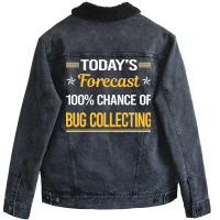 Today Forecast Bug Collecting Insect Insects Bugs Unisex Sherpa-lined Denim Jacket | Artistshot