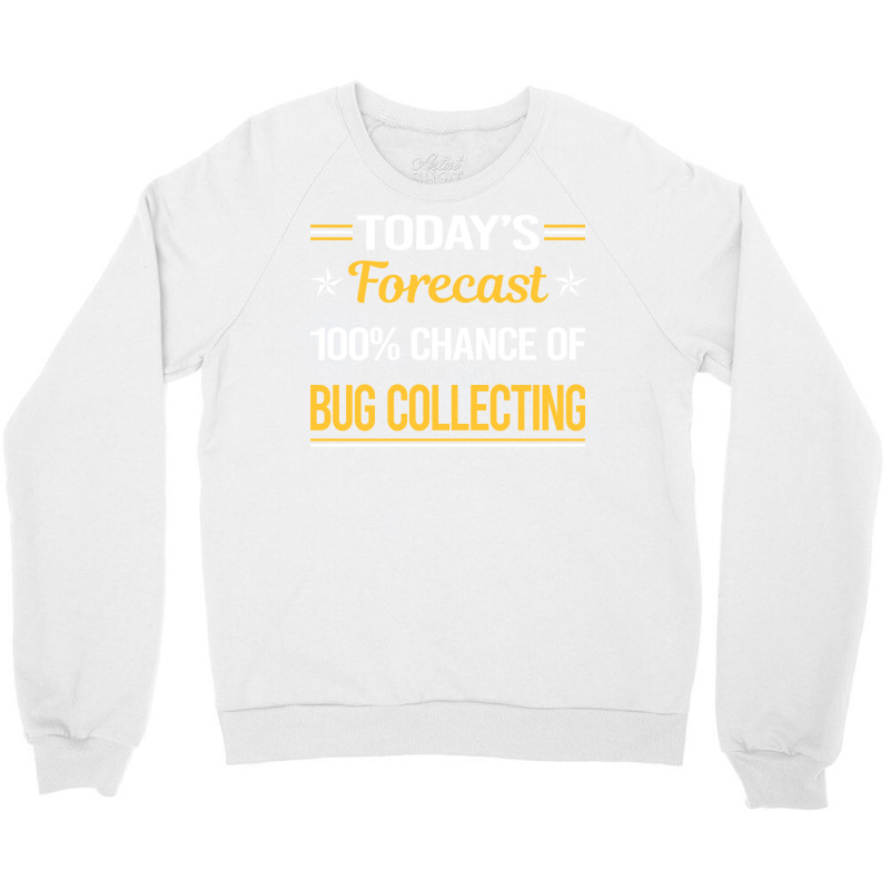 Today Forecast Bug Collecting Insect Insects Bugs Crewneck Sweatshirt | Artistshot