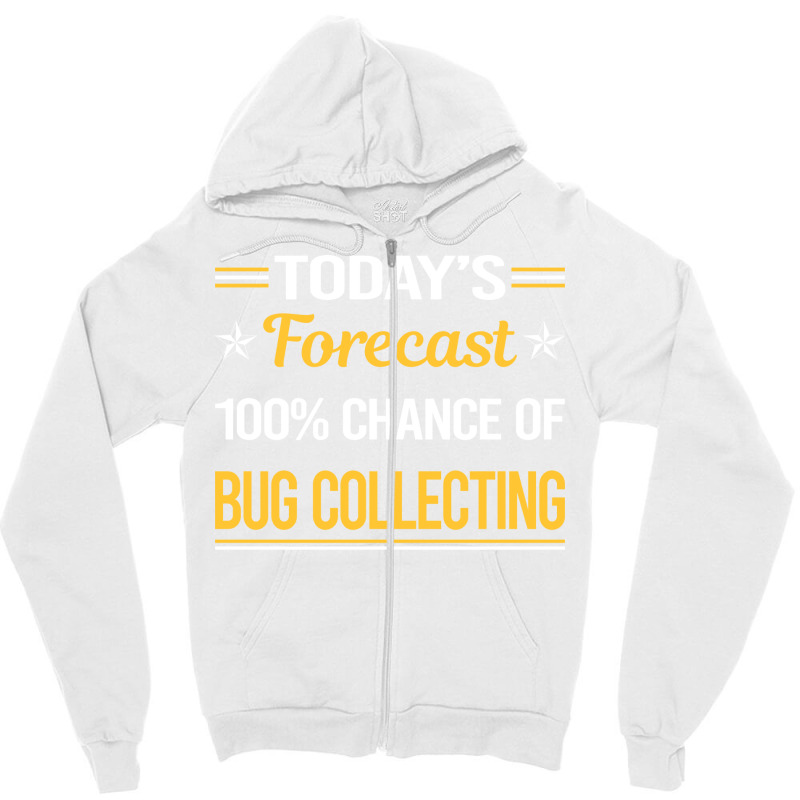 Today Forecast Bug Collecting Insect Insects Bugs Zipper Hoodie | Artistshot