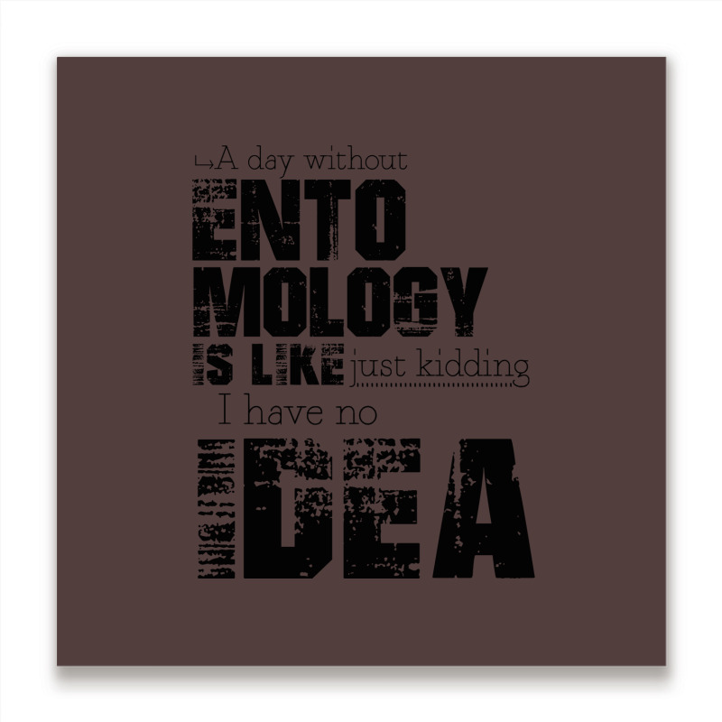 Entomology Aesthetic Metal Print Square | Artistshot