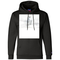 Owl Bird Animal Wildlife Forest Nature Flight Digi Champion Hoodie | Artistshot