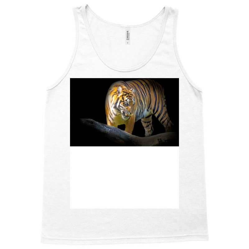 Tiger Animal Feline Wild Life Jungle Nature Freedo Tank Top | Artistshot