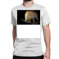 Tiger Animal Feline Wild Life Jungle Nature Freedo Classic T-shirt | Artistshot