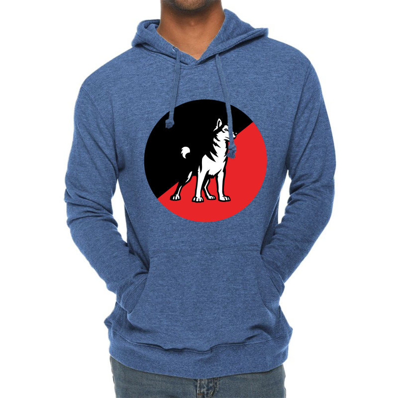 Northeastern Huskies Lightweight Hoodie | Artistshot