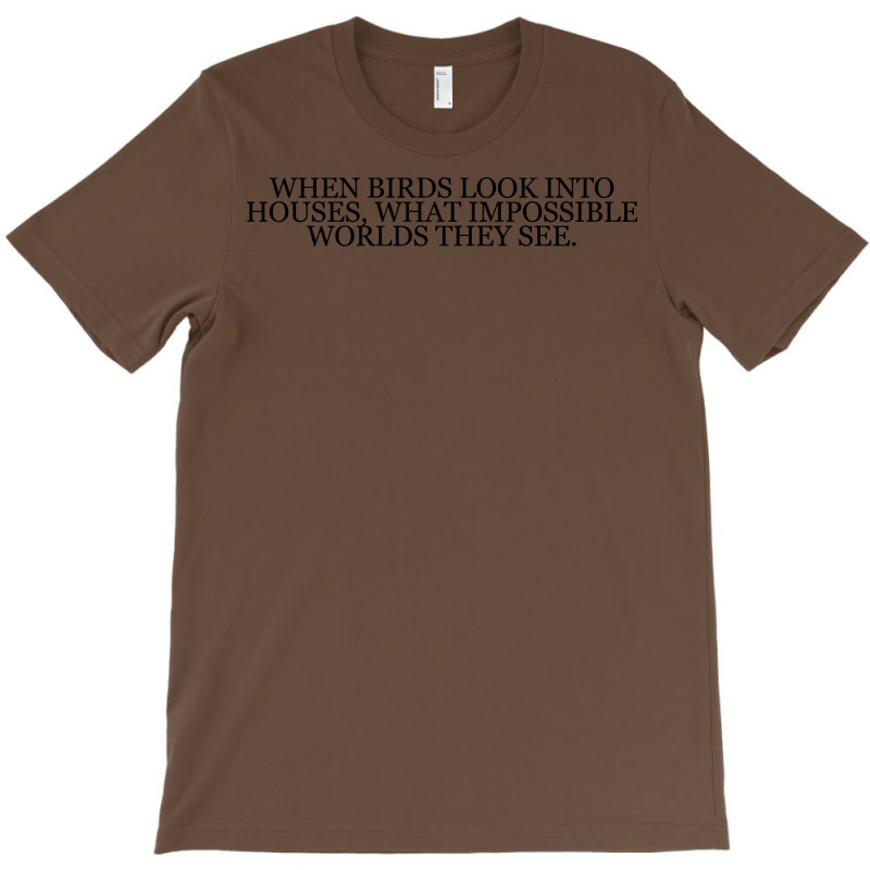 Don Delillo Aesthetic T-Shirt by racidaniritx | Artistshot