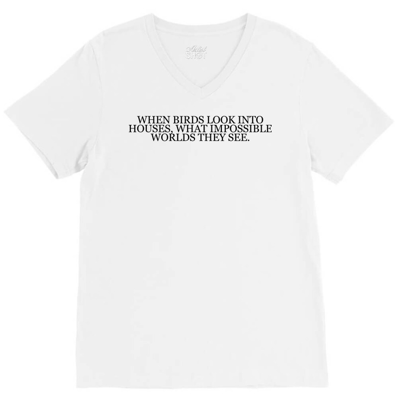 Don Delillo Aesthetic V-Neck Tee by racidaniritx | Artistshot