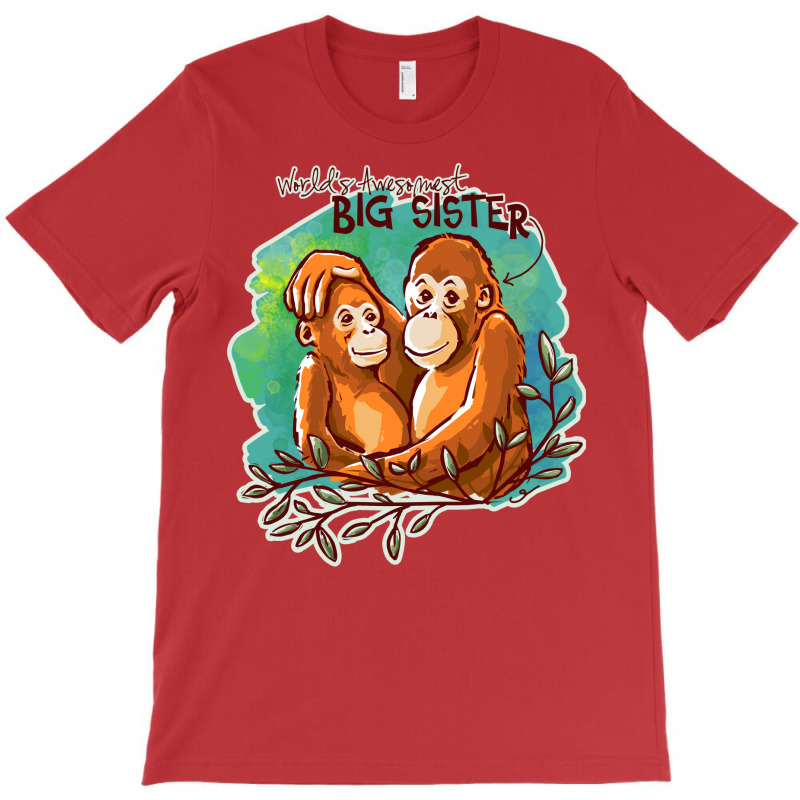 Worlds Awesomest Big Sister T-Shirt by sbusiozald | Artistshot