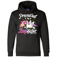 Promoted To Big Sister Pregnancy Announcement Champion Hoodie | Artistshot