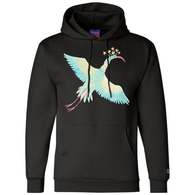 Star Bird 1 Champion Hoodie by machapnalinii | Artistshot