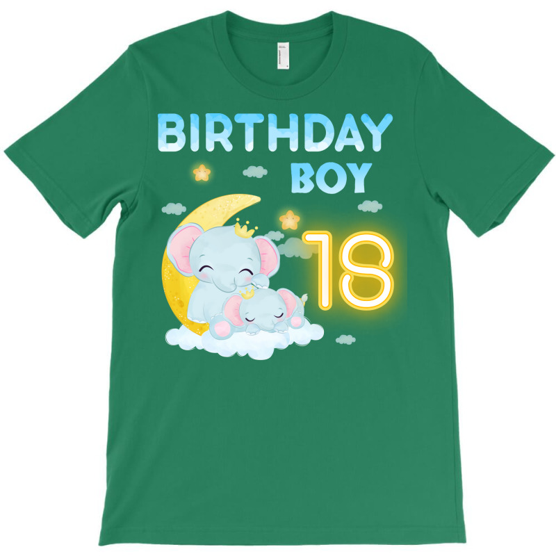 Cute Elephant 18th Birthday Boy 80s T-shirt | Artistshot