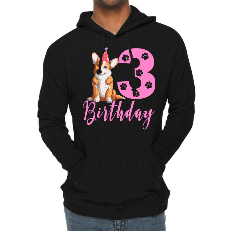 3th Birthday Corgi Blue Lightweight Hoodie | Artistshot