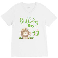 Cute Lion 17th Birthday Boy Funny V-neck Tee | Artistshot