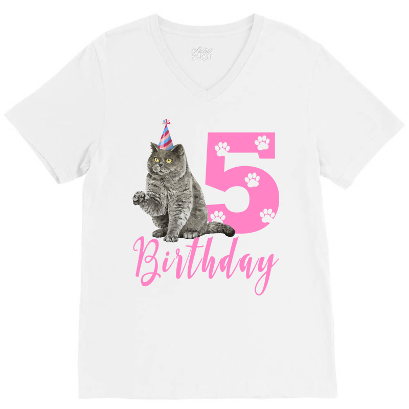 Happy Birthday 5th Cute Birthday British Shorthair V-neck Tee | Artistshot