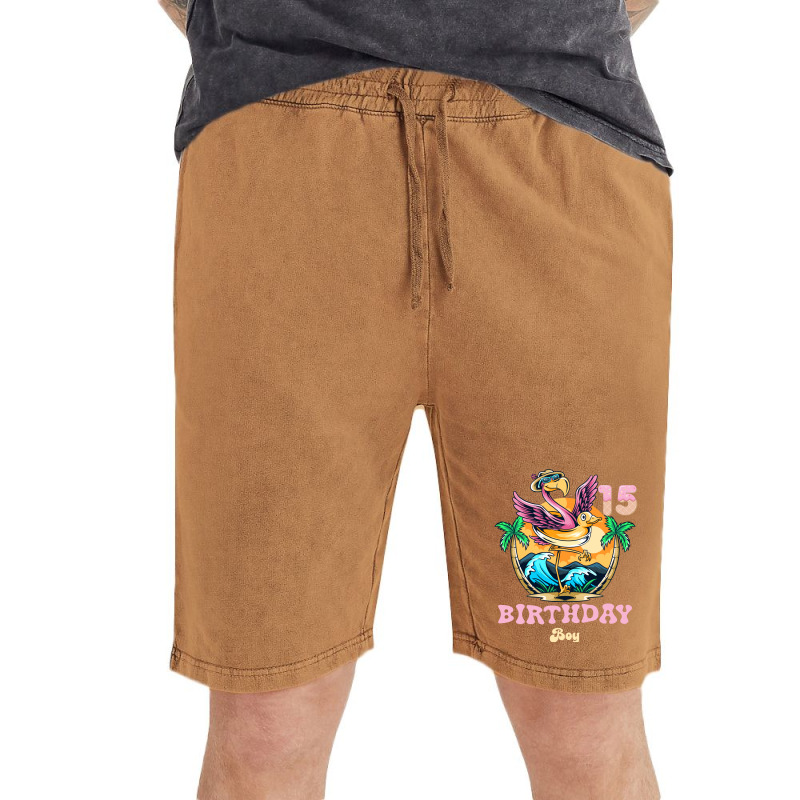 Cute Flamingo 15th Birthday Boy Vintage Vintage Short | Artistshot