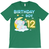 Cute Elephant 12th Birthday Boy Hipster T-shirt | Artistshot