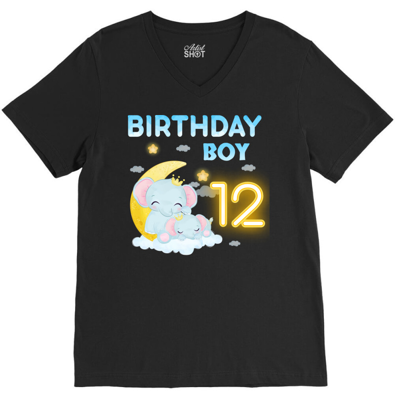 Cute Elephant 12th Birthday Boy Hipster V-neck Tee | Artistshot