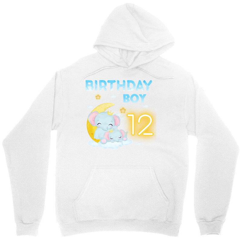 Cute Elephant 12th Birthday Boy Hipster Unisex Hoodie | Artistshot