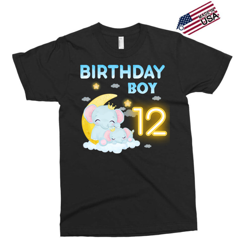 Cute Elephant 12th Birthday Boy Hipster Exclusive T-shirt | Artistshot