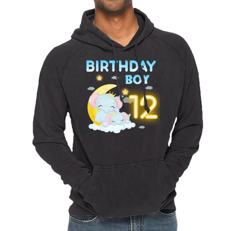 Cute Elephant 12th Birthday Boy Hipster Vintage Hoodie | Artistshot