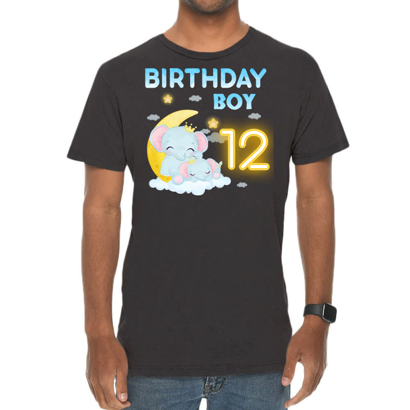 Cute Elephant 12th Birthday Boy Hipster Vintage T-shirt | Artistshot