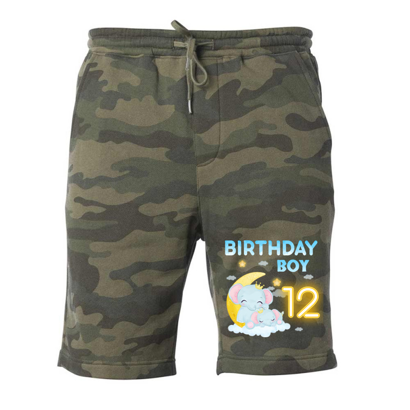 Cute Elephant 12th Birthday Boy Hipster Fleece Short | Artistshot