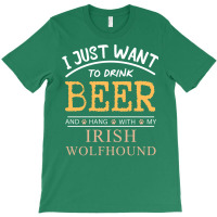 I Just Want To Drink Beer And Hang With My Irish W T-shirt | Artistshot