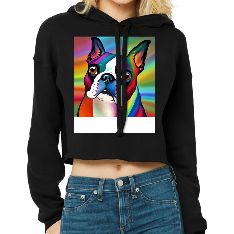 Boston Terrier Rainbow Painting Trending Boy Cropped Hoodie by liljongadesen | Artistshot